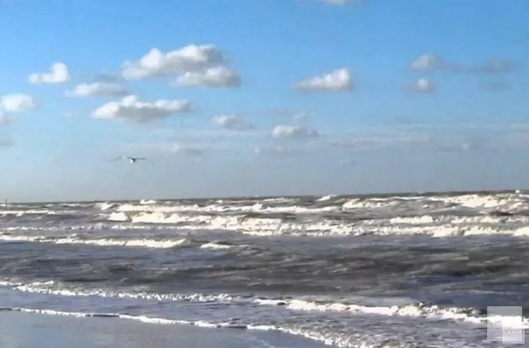 Ingrijpende veranderingen op de Noordzee door de groei van windparken vragen om meer onderzoek