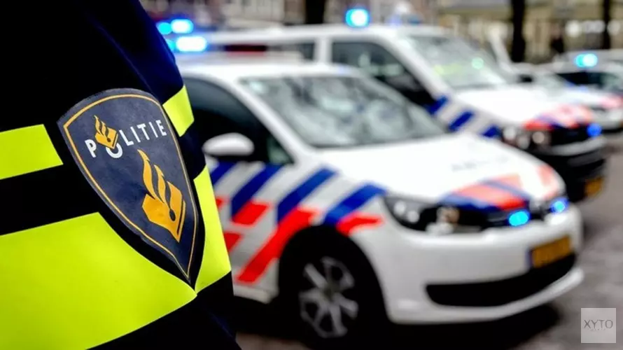 Minderjarig meisje (15) mishandeld in Haarlem: politie zoekt dader