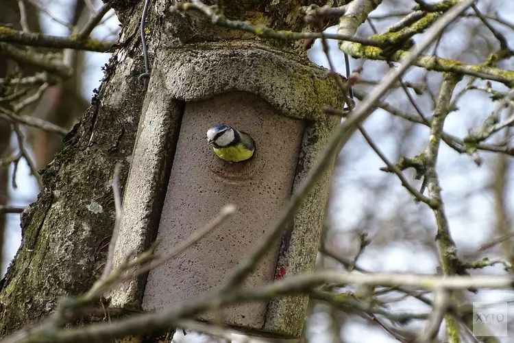 Nestkastjes timmeren op Kinderboerderij De Baak