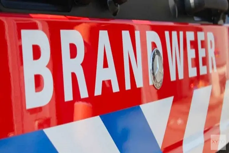 Bedrijfswagen door brand verwoest