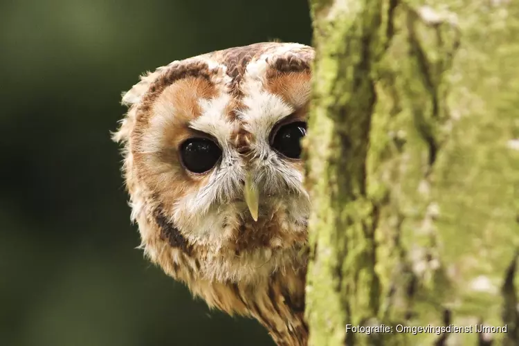 Gekke dieren op kinderboerderij De Baak