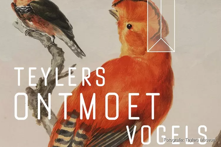 Teylers Museum ontmoet vogels