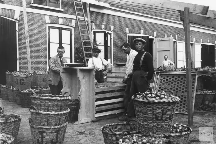 Lezing over de geschiedenis van de bloembollenteelt in Nederland