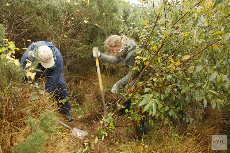 Landelijke Natuurwerkdag Koningshof