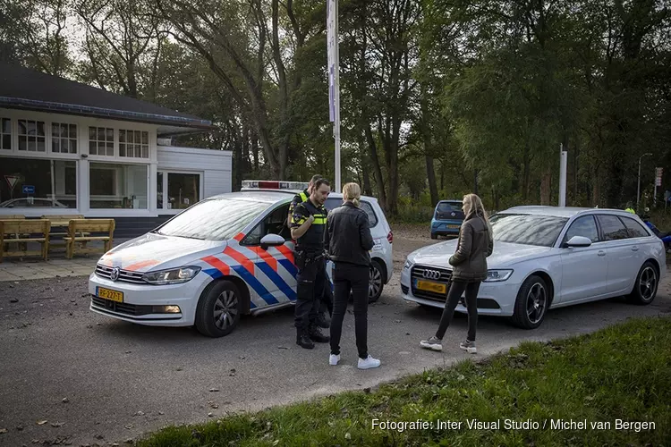 Hert doodgereden op de Zeeweg in Overveen