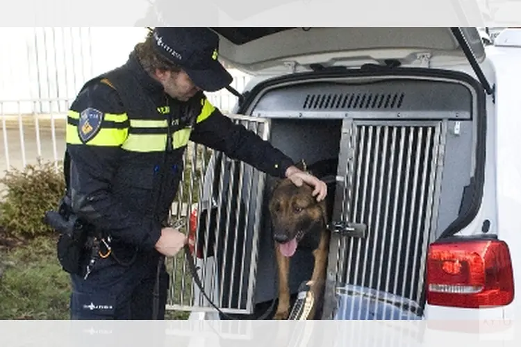 Vuurwerk en drugs aangetroffen na inval