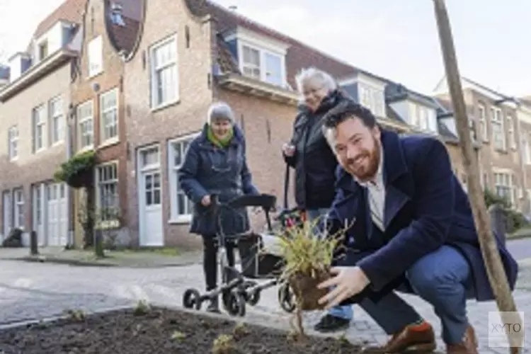 Extra groen in autoluwe binnenstad