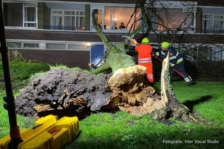 Boom valt tegen flat Prof. Boumanstraat