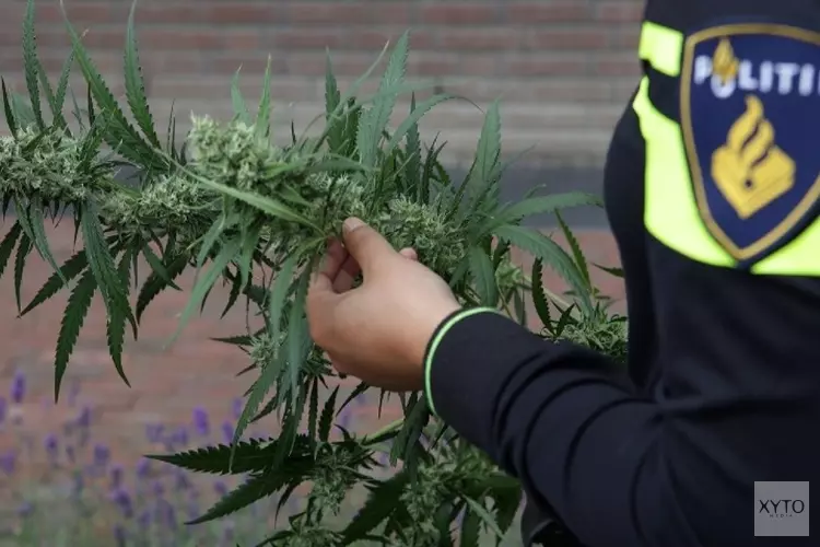 Drugspand Velsen-Noord voor 6 maanden gesloten