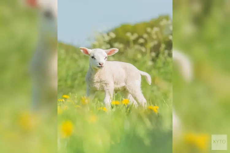 Knutsel en speur mee met NME!