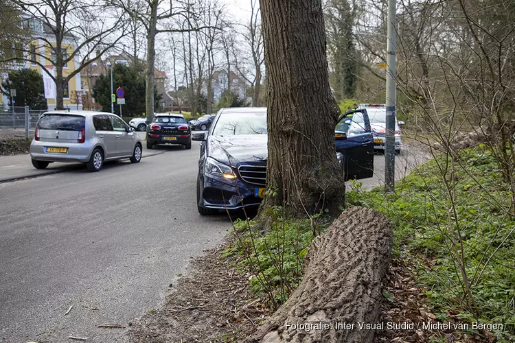 Automobilist moet uitwijken voor kat en botst tegen boom