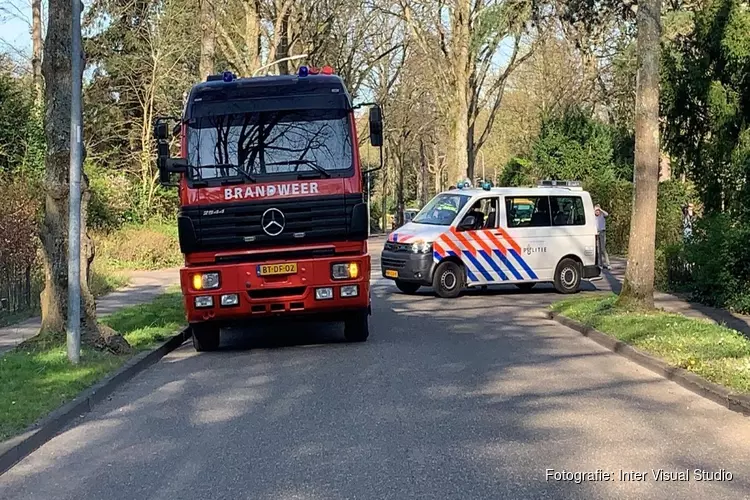 Brand in natuurgebied bij Aerdenhout, politie zoekt mogelijke brandstichter