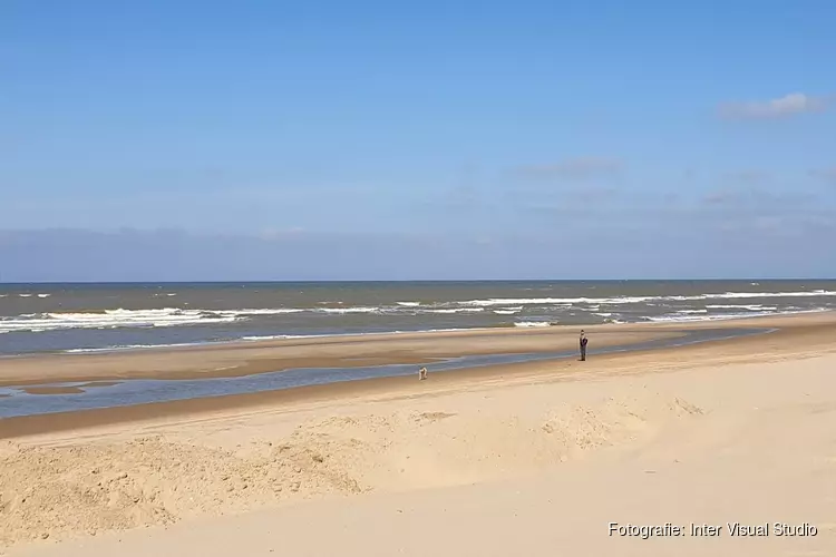 Wanneer mag je wel en wanneer niet met je hond of paard het strand op?