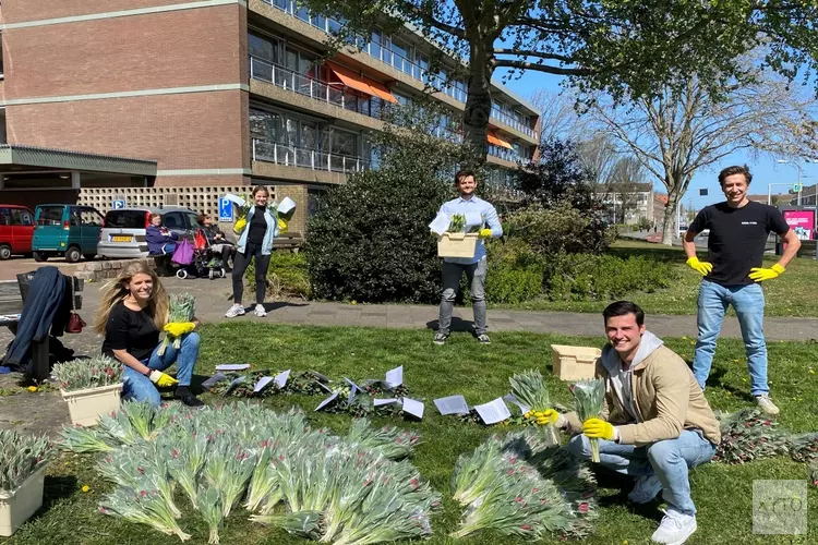 Tulpen opsteker voor ouderen