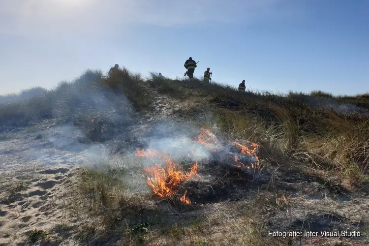 Duinbrand in Velsen-Noord snel onder controle