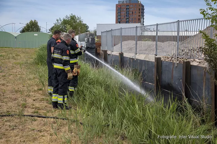 Bermbrand langs Waarderweg