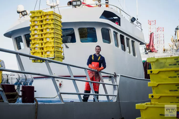 Proef Noordzeevis uit IJmuiden