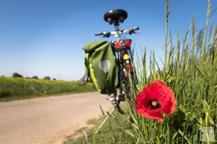 Corona en tekort aan vrijwilligers: Heemskerkse Fietsvierdaagse afgelast