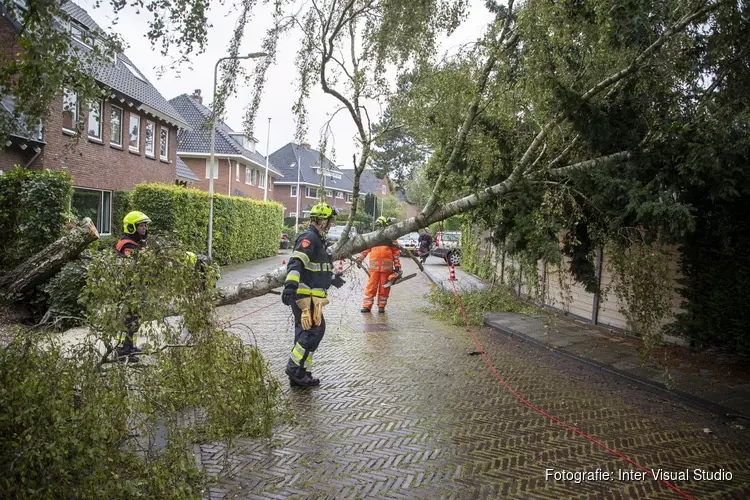 Boom omgewaaid aan de Zomerlaan in Heemstede