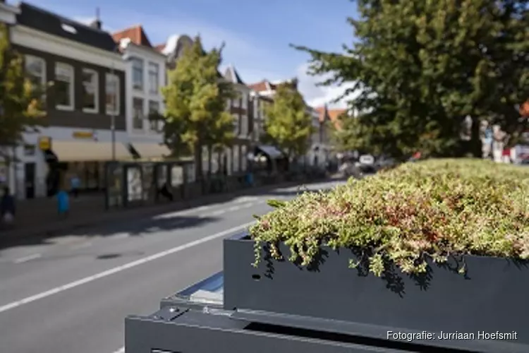 Bushokjes krijgen een groen dak