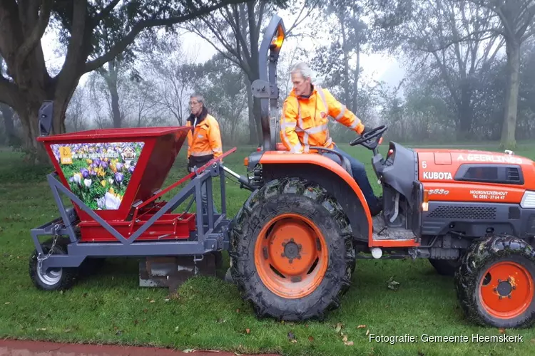 Ruim 350.000 bloembollen langs De Baandert op Nationale Bollenplantdag