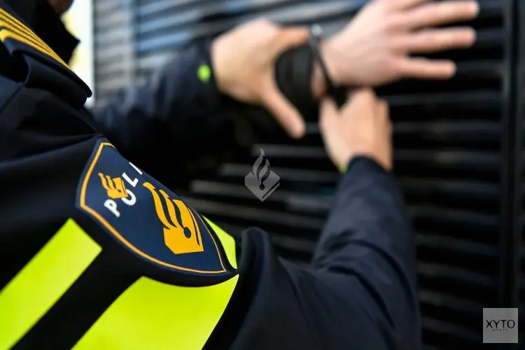 Inbrekers lopen in de handen van politie