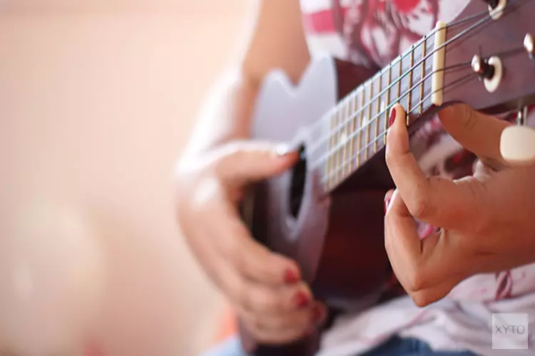 Nieuwe cursus kampvuur gitaar