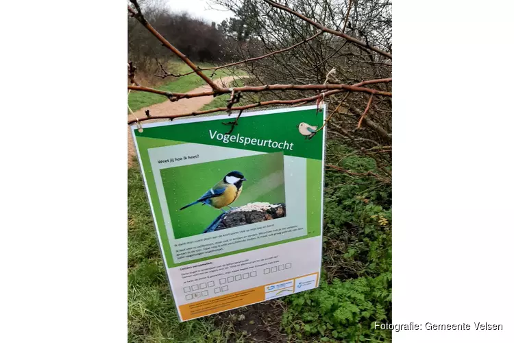 Vogelspeurtocht in Velsen – doe mee!