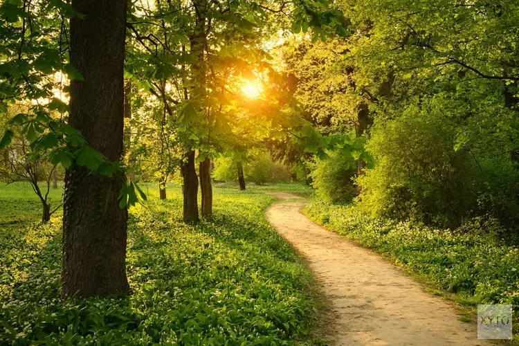 Wandeling voor volwassenen over WO II en natuur op 3 mei vanaf Gasterij de Kruisberg