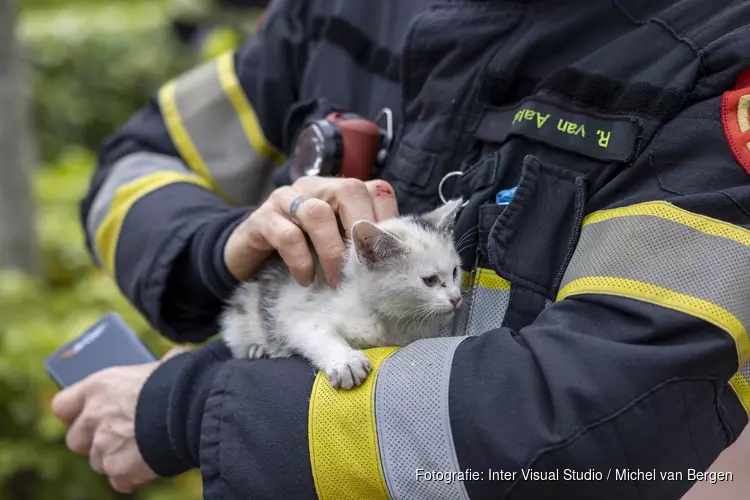 Brandweer redt kat onder auto vandaan in Haarlem