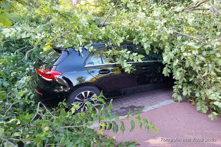 Boom omgevallen op geparkeerde auto