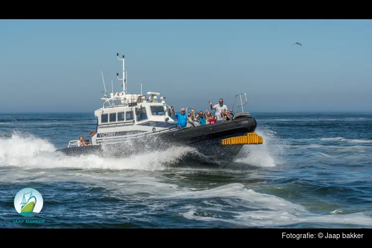 Havenfestival IJmuiden groot lokaal feest