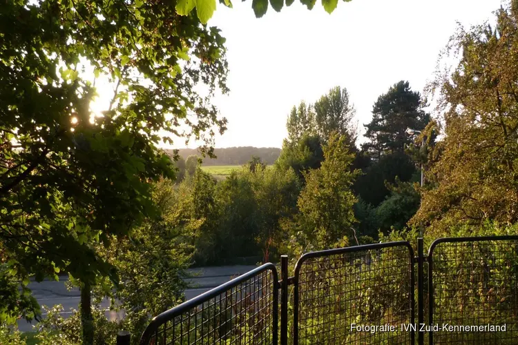 Avondwandeling in wandelbos Groenendaal