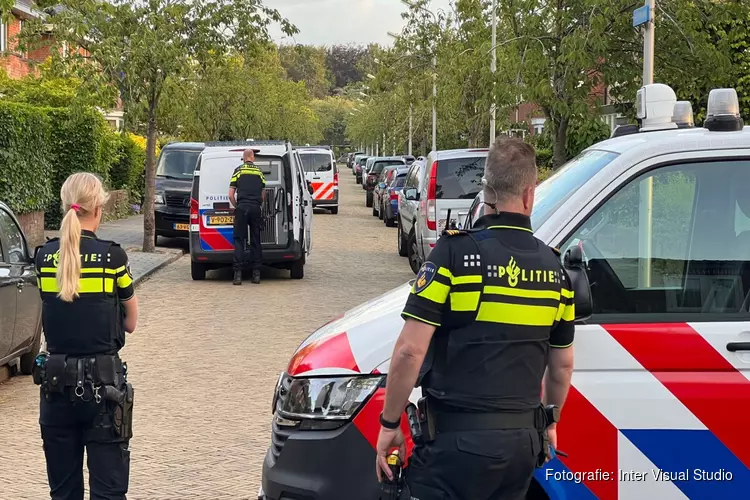 Inbrekers actief in Driehuis