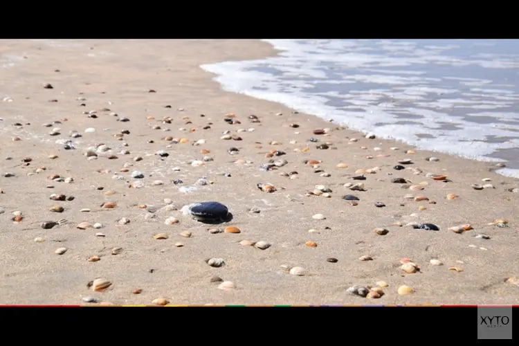 Het strand is meer dan alleen maar zand