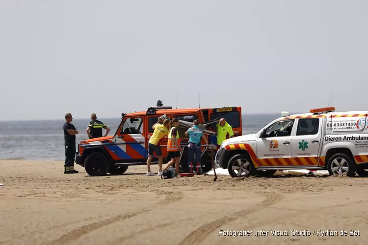 Vrouw wordt aangereden op het strand door de Dierenambulance