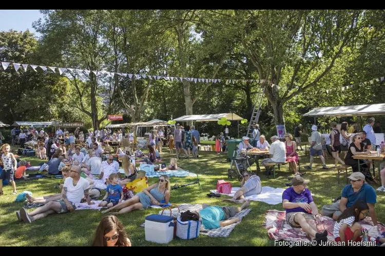 Zomer in de Zaanen: gratis zomerfestival voor en door de buurt