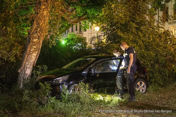 Automobilist rijdt Kenaupark in