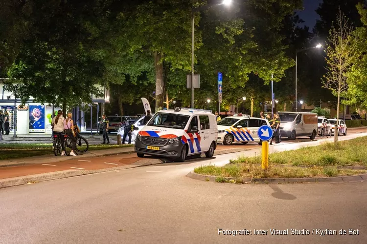 Massale vechtpartij in Haarlem