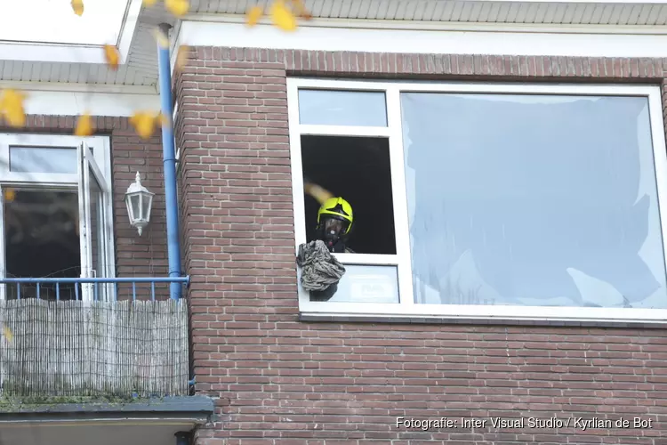 Twee katten overleden bij brand in flat Haarlem