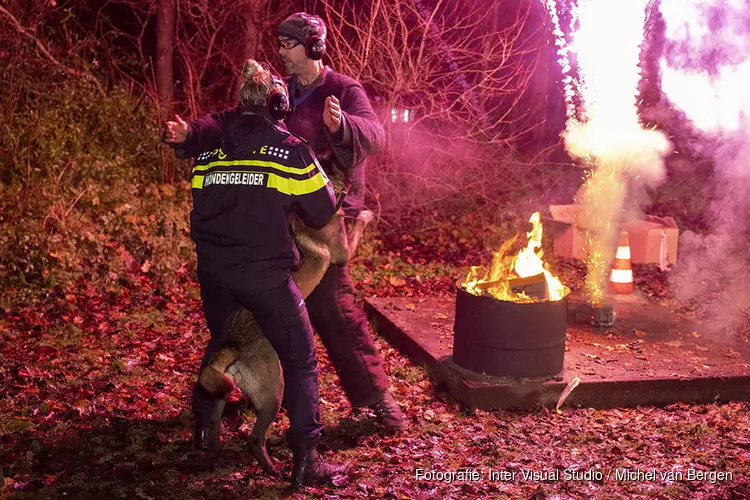 Grote oefening om politiehonden aan vuurwerk te laten wennen ivm Oud en Nieuw