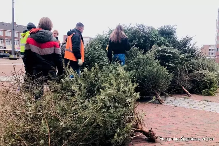 Winactie bij kerstbomeninzameling in Velsen