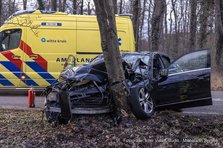 Taxichauffeur ernstig gewond na botsing tegen boom in IJmuiden