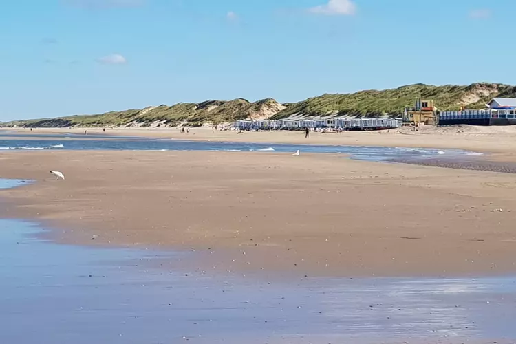 Korren strand Heemskerk: Ontdek wat er in zee leeft!