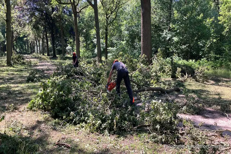 Buitenplaats Beeckestijn zwaar getroffen door storm Poly