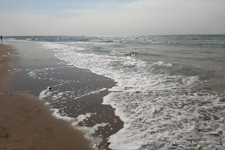 Op zondag 1 oktober 2023 organiseert IVN afdeling Midden Kennemerland een Strandwandelexcursie: Is het strand meer dan een bak zand?.