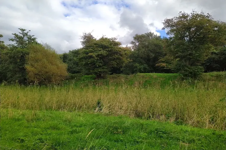 Landschap Noord-Holland zoekt vrijwilligers