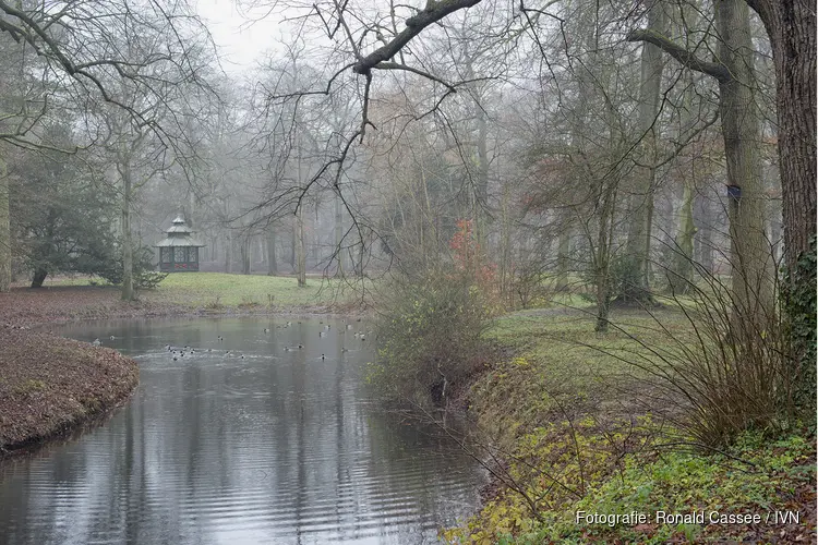 Kerst- en wintergroenexcursie Landgoed Velserbeek op zondag 17 december