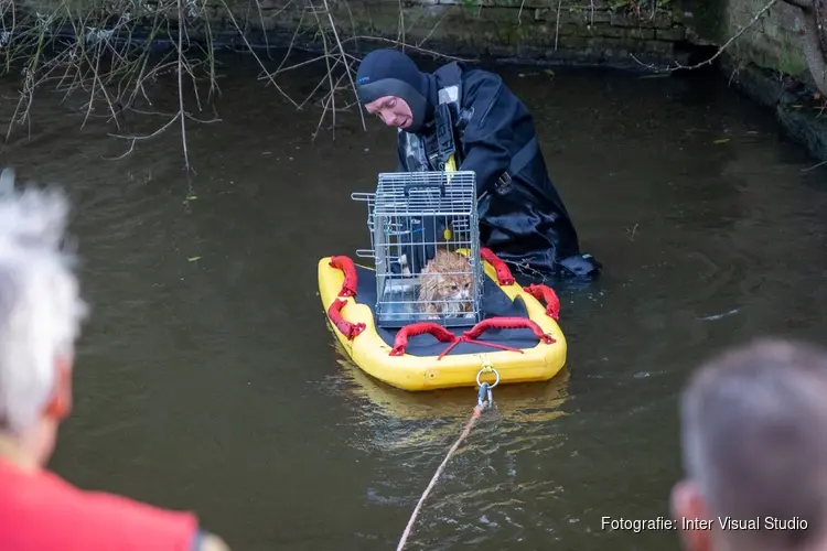 Kat gered uit water in Haarlem
