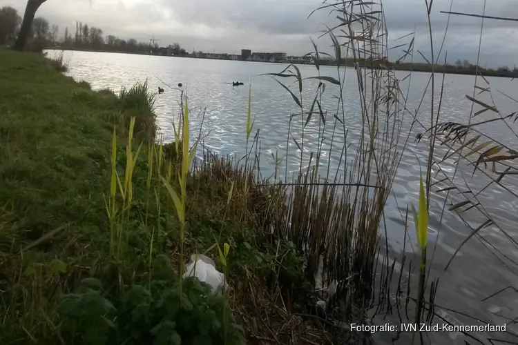 Opschonen Spaarne-oevers tijdens de Landelijke Opschoondag